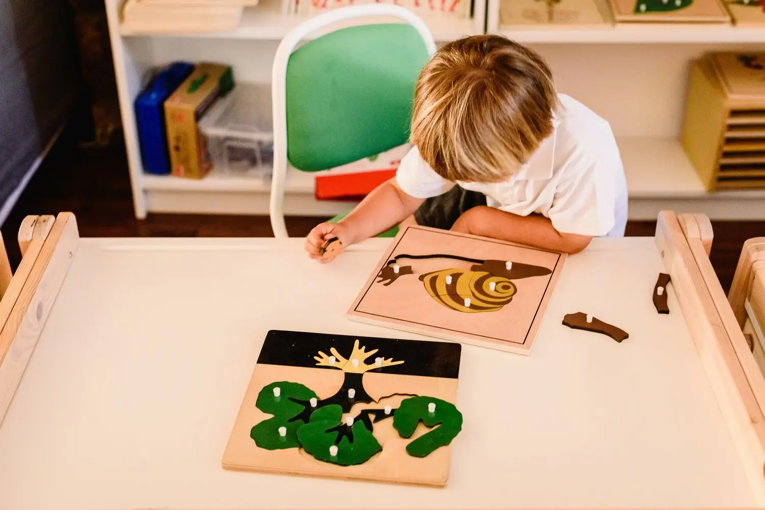 Dlaczego przedszkole Montessori wspiera harmonijny rozwój dziecka