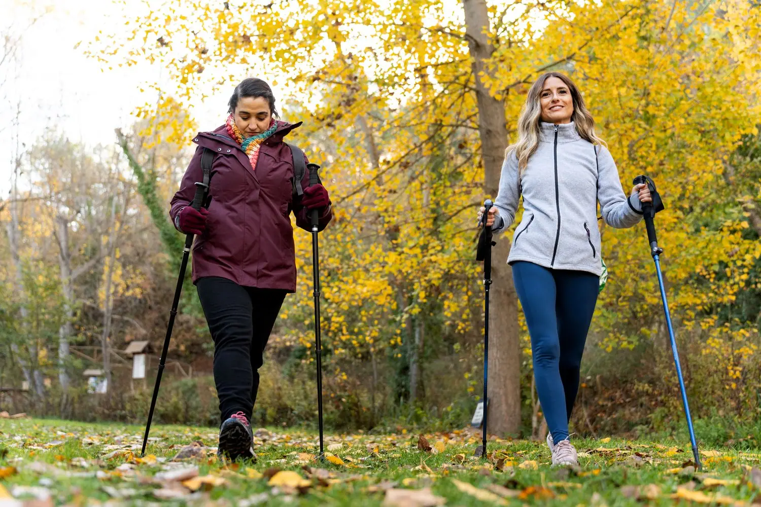 Jak prawidłowo dobrać długość kijów do nordic walking